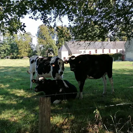 Sejour Familial De Gamme Et Confort Pres Des Plages Du Debarquement *
