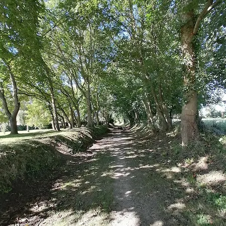 Sejour Familial De Gamme Et Confort Pres Des Plages Du Debarquement * Sommervieu