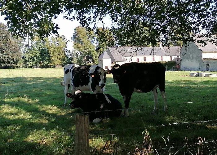 Sejour Familial De Gamme Et Confort Pres Des Plages Du Debarquement *