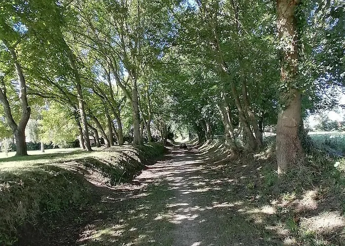 Sejour Familial De Gamme Et Confort Pres Des Plages Du Debarquement * Sommervieu